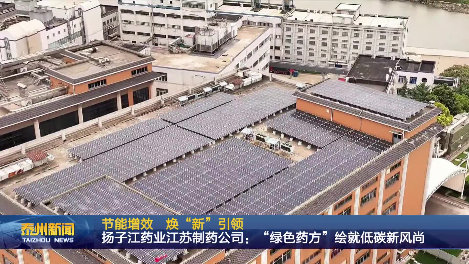 节能增效 焕“新”引领  扬子江药业江苏制药公司：“绿色药方”绘就低碳新风尚